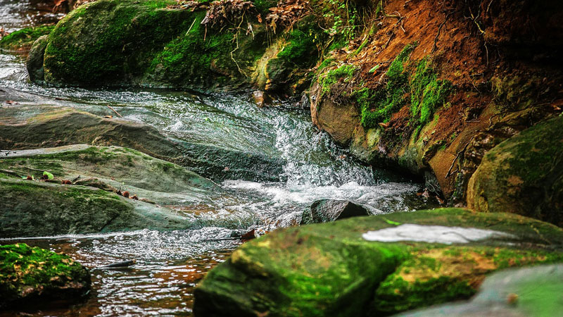 Water flowing over rocks in stream