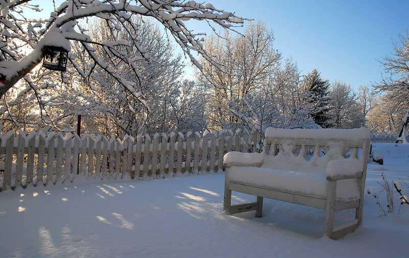 Bench in snowy winter garden