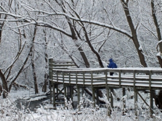 Winter Blues by Gretchen Gaede, First Place, Parks and Public Spaces
