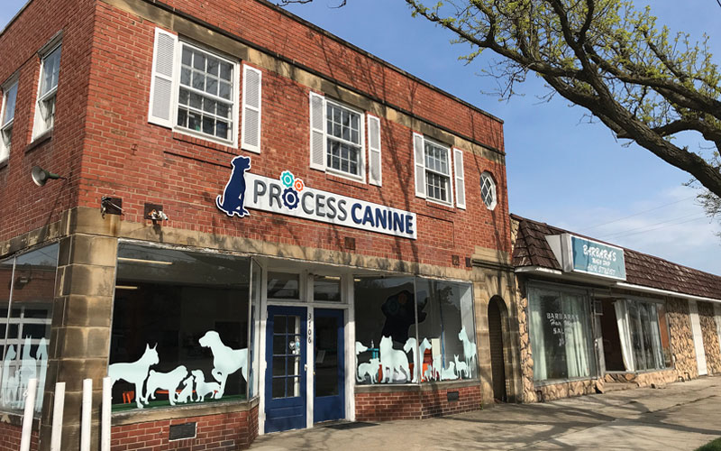 Exterior of Process Canine