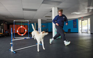 Amanda Corr training a dog at Process Canine