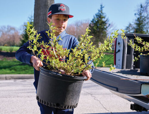 Giving Greenspace Another Chance