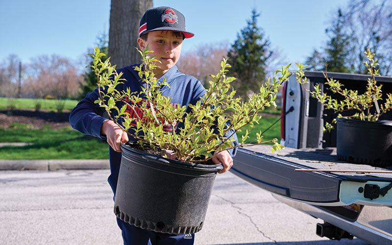 Young person carrying a shrub to be planted at a grow not mow event