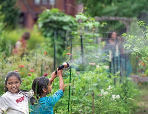 A Loss Becomes a Gain with Flowers