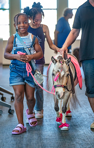 Two girls walking miniature horst