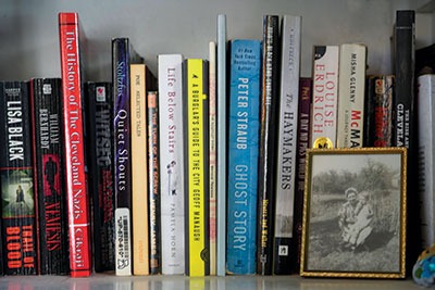 D.M. Pulley's novels line a book shelf