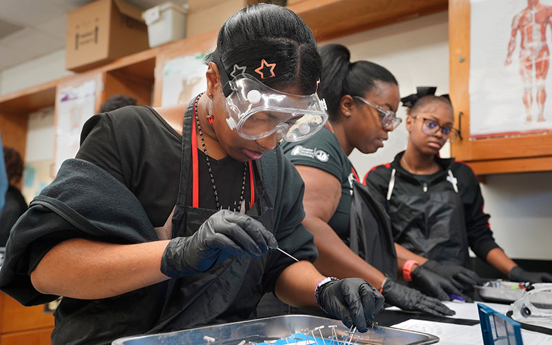 Students in high school science lab